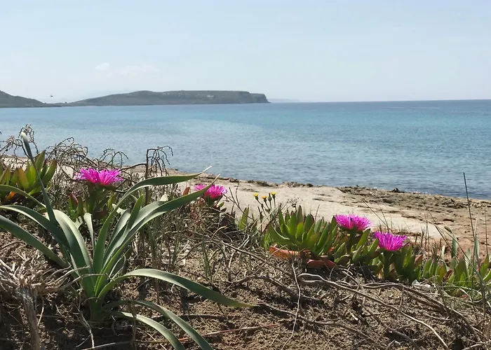 Апартаменты Amazing Bay View-beach Boutique Velameiga